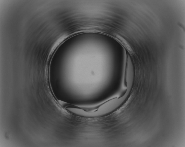 X0000091531196200709071033