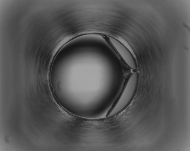 X0000091531197200709071033