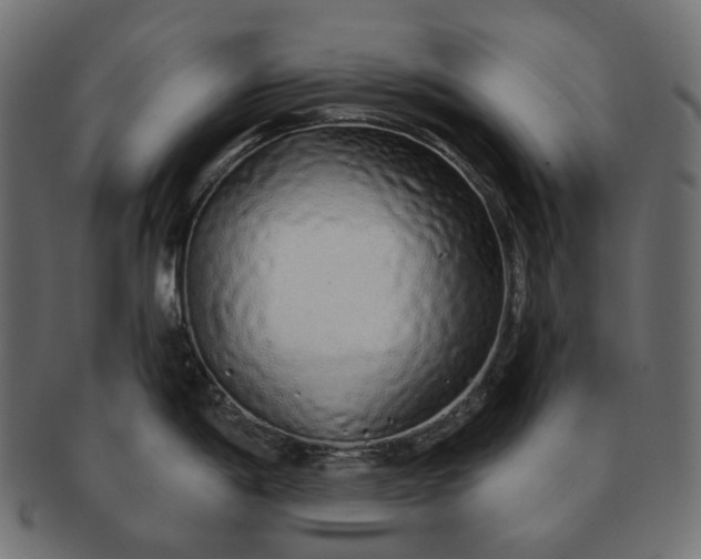 X0000091531198200709071033
