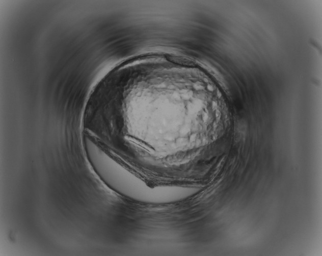 X0000091531199200709071033