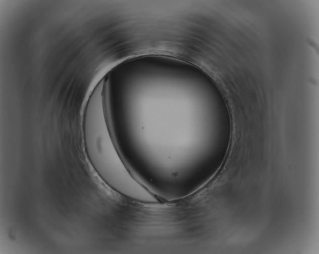 X0000091531200200709071033