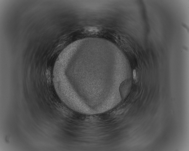 X0000091531203200709071032
