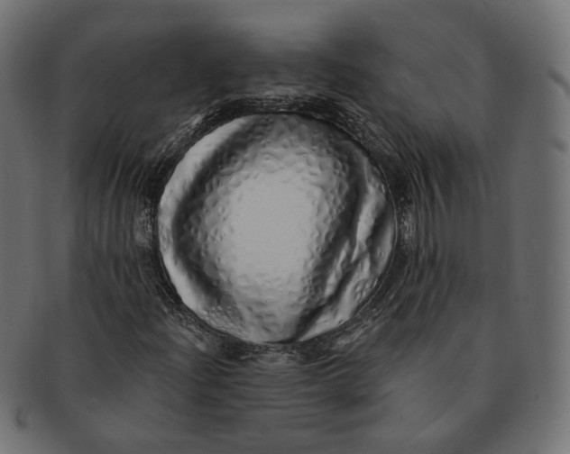 X0000091531204200709071032