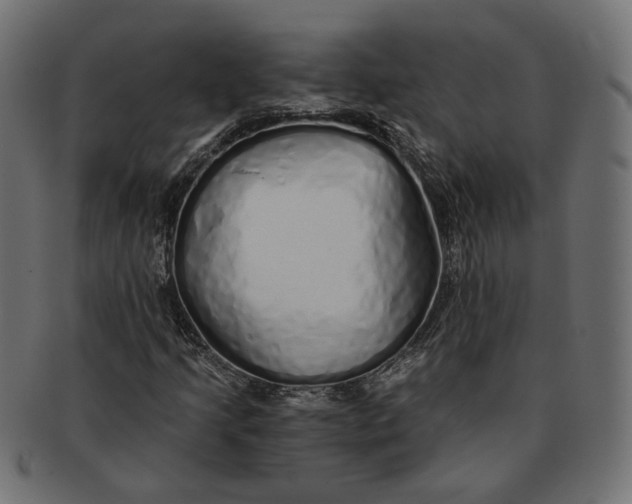 X0000091531205200709071032