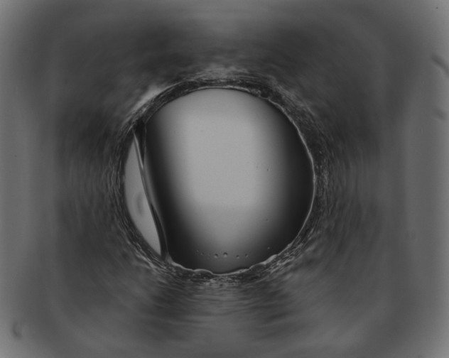 X0000091531206200709071032
