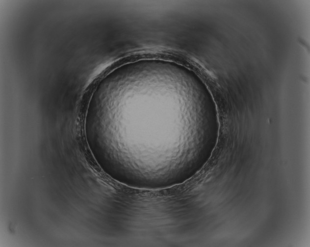 X0000091531208200709071032