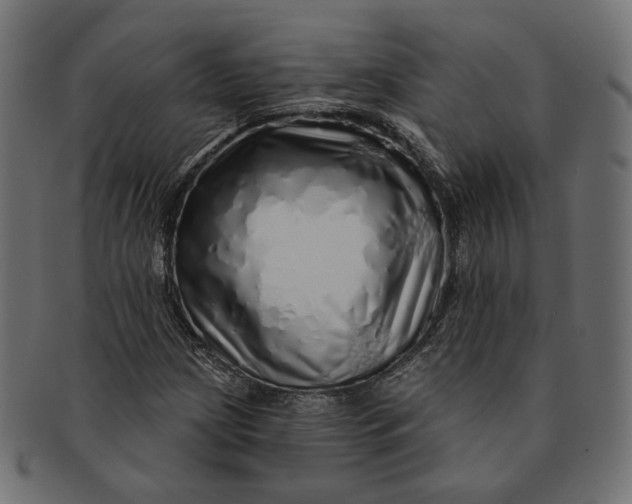 X0000091531209200709071032