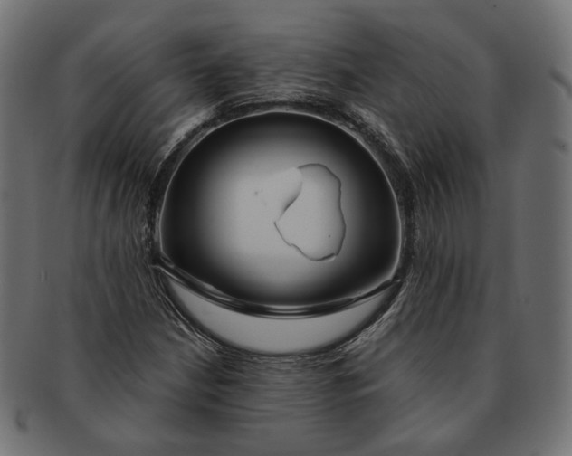 X0000091531210200709071032