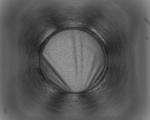 X0000091531211200709071032