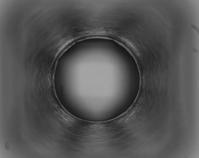 X0000091531212200709071032