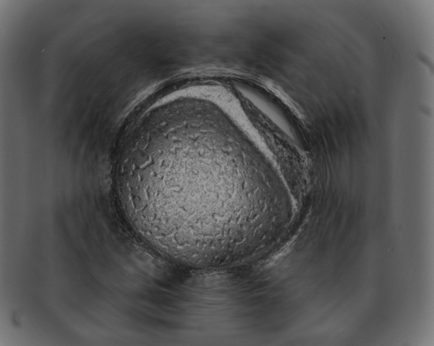 X0000091531213200709071032