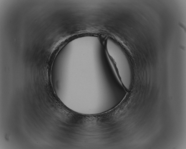 X0000091531214200709071032