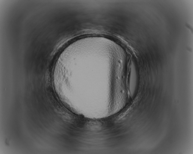 X0000091531215200709071033
