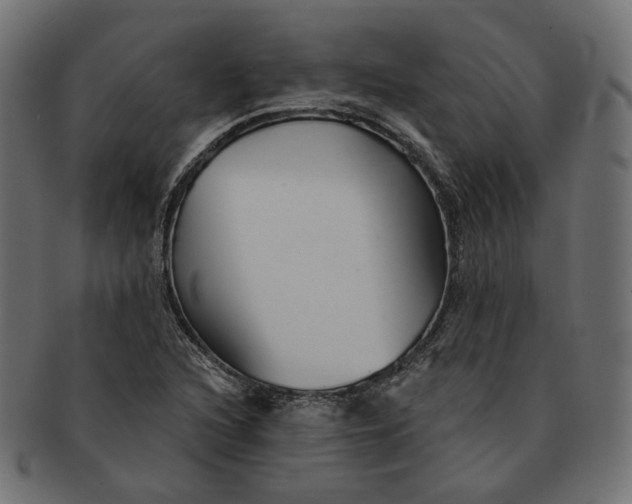 X0000091531216200709071033