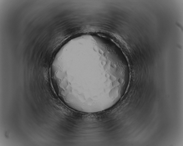 X0000091531217200709071033