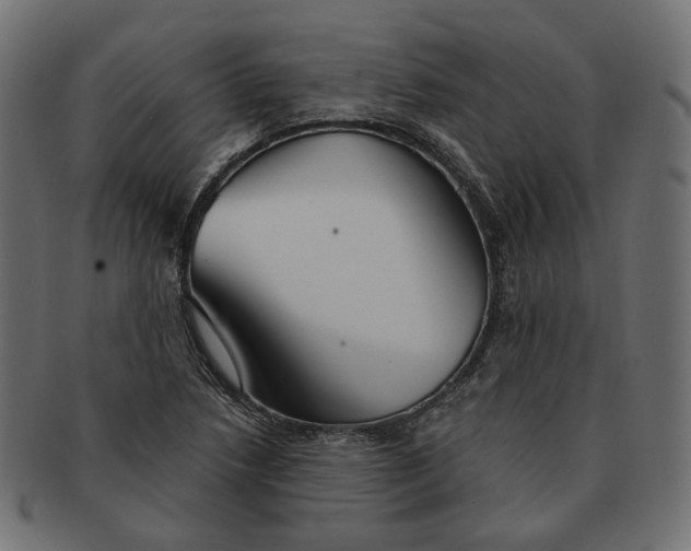 X0000091531218200709071033