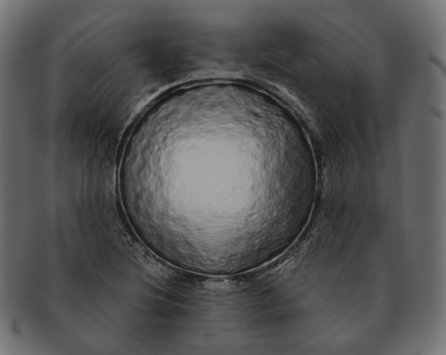 X0000091531220200709071033