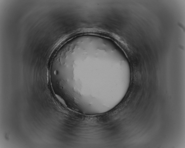 X0000091531221200709071033