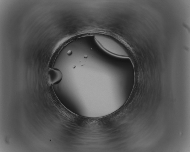 X0000091531222200709071033