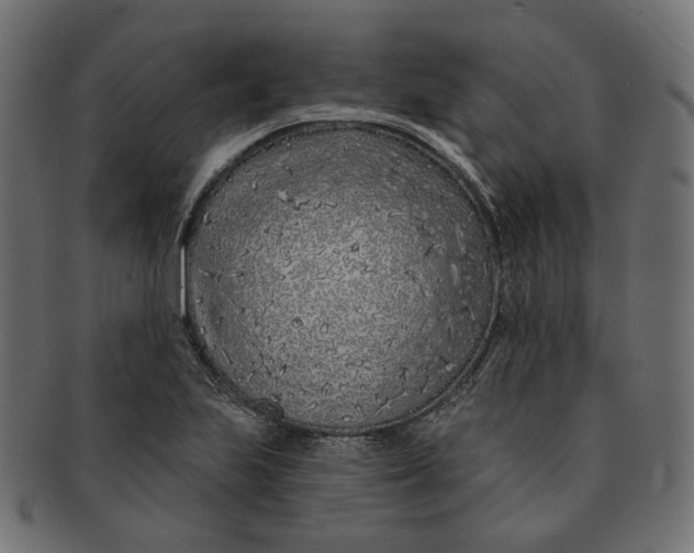 X0000091531223200709071033