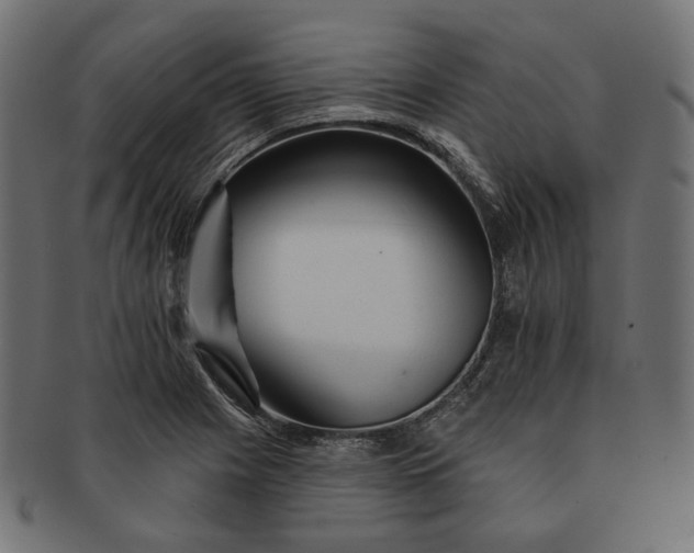 X0000091531225200709071033