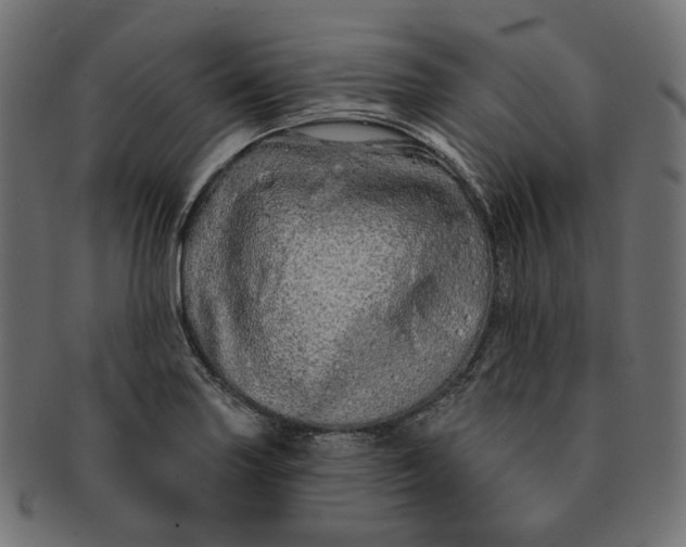X0000091531227200709071033