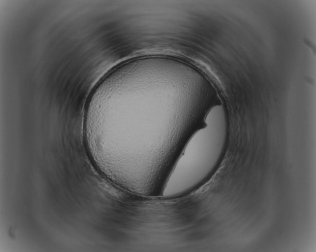 X0000091531228200709071033