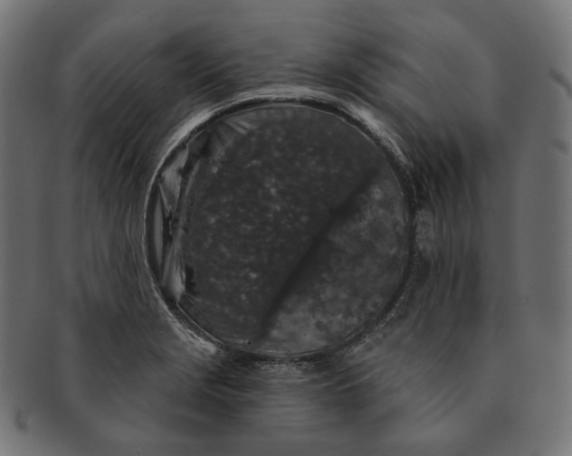 X0000091531229200709071033