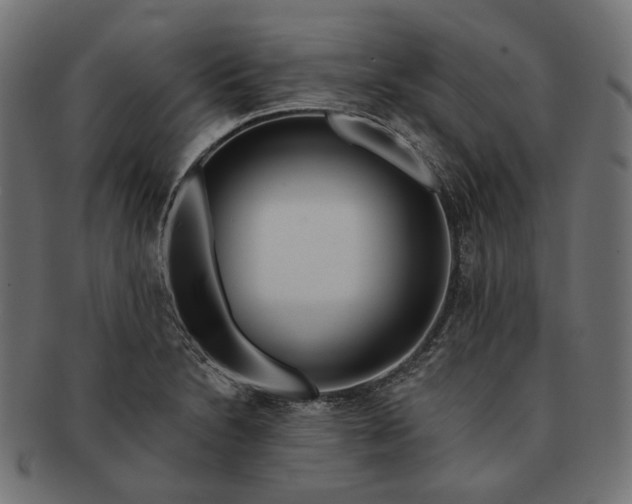 X0000091531230200709071033