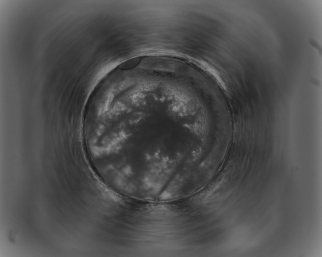 X0000091531231200709071033