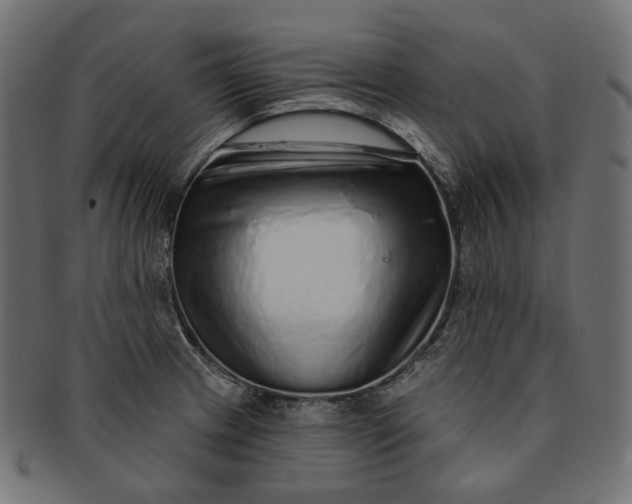 X0000091531233200709071033