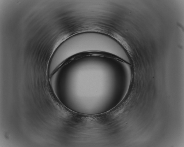 X0000091531234200709071033