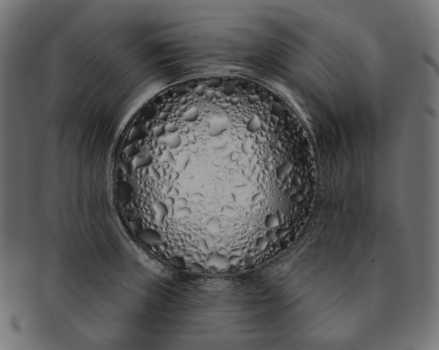X0000091531235200709071033