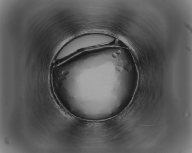 X0000091531237200709071033