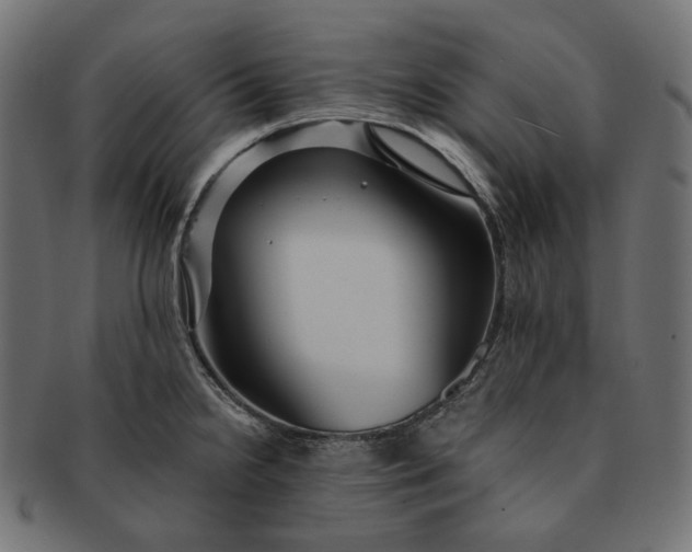 X0000091531238200709071033
