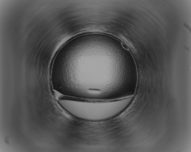 X0000091531240200709071033