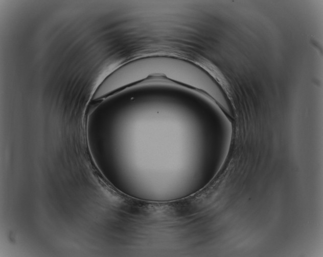 X0000091531242200709071033