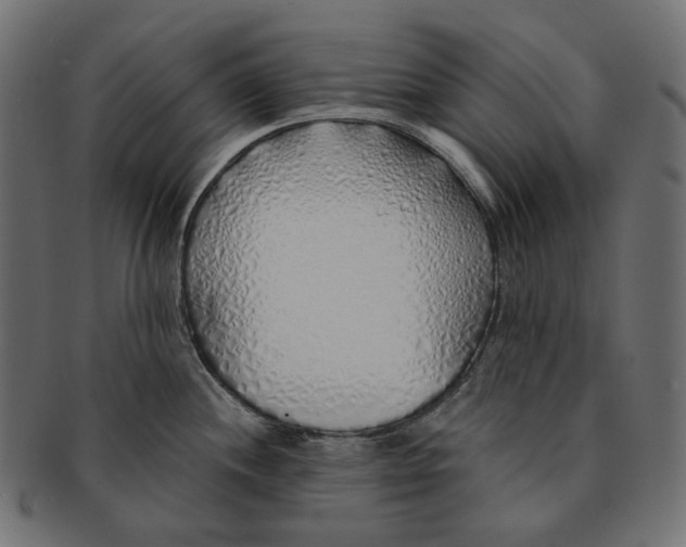 X0000091531244200709071033