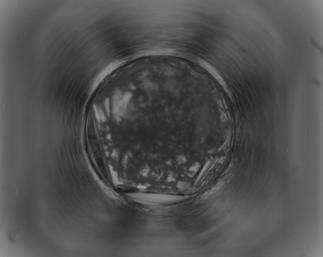 X0000091531245200709071033