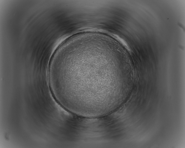 X0000091531247200709071033
