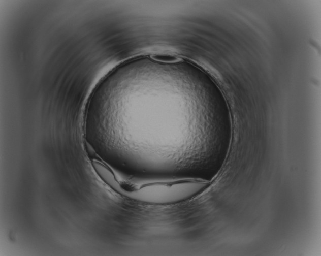 X0000091531248200709071033