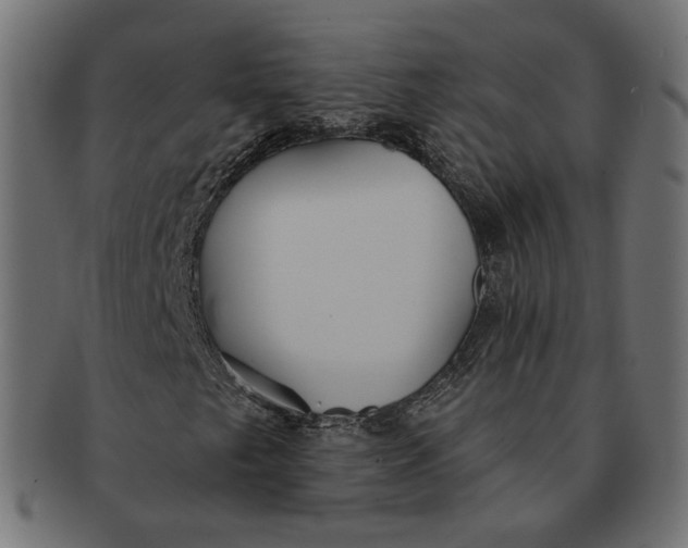 X0000091531249200709071032