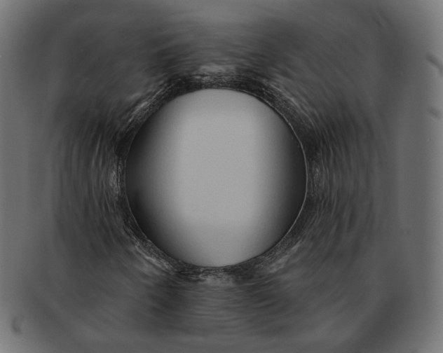 X0000091531250200709071032