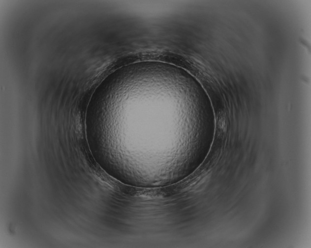 X0000091531252200709071032