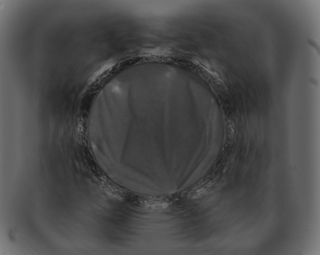 X0000091531254200709071032