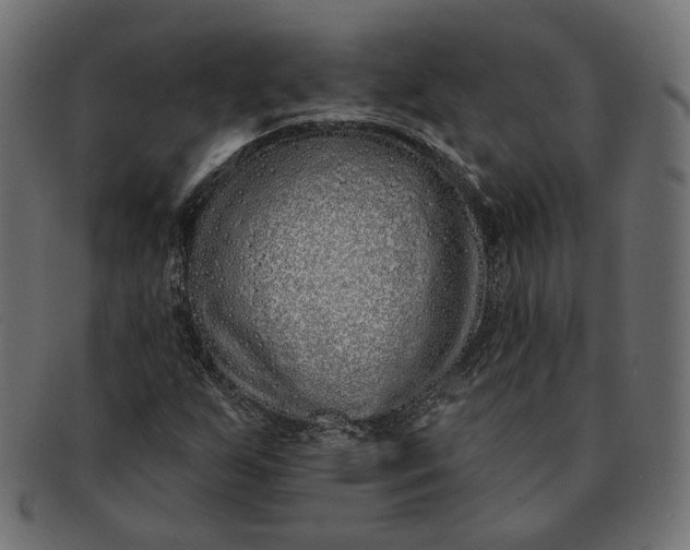 X0000091531255200709071032