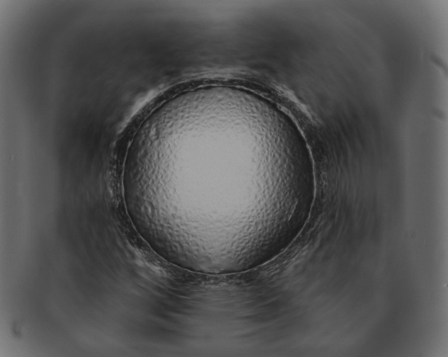 X0000091531256200709071032
