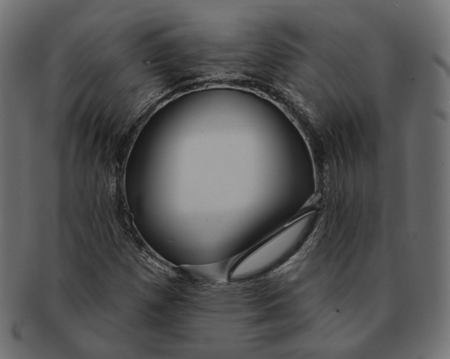 X0000091531257200709071032