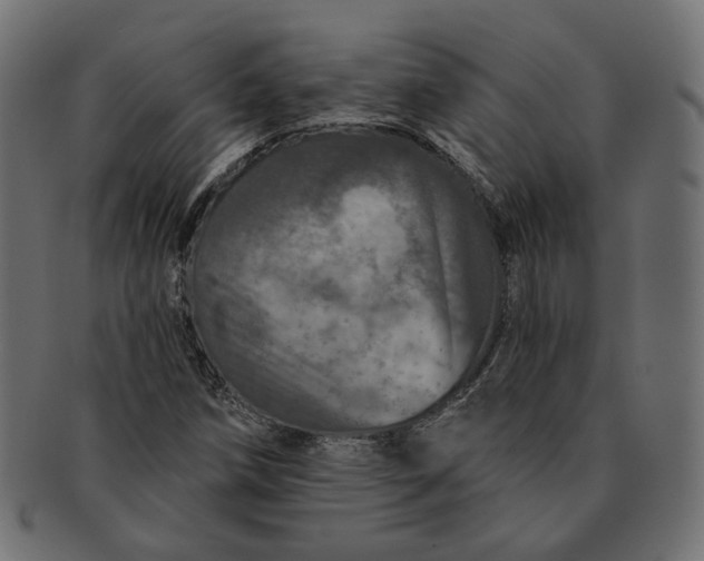 X0000091531258200709071032
