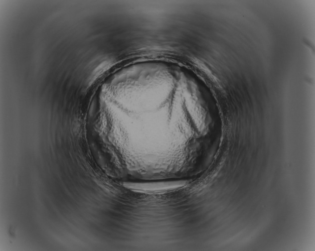 X0000091531259200709071032